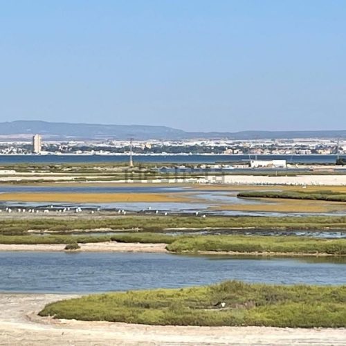 WhatsApp Image 2026-01-13 at 12.58.48