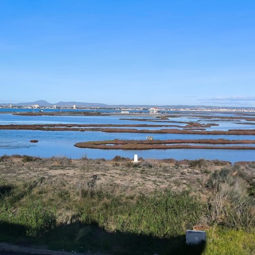 WhatsApp Image 2026-01-26 at 10.42.19